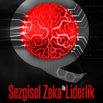 Sezgisel zeka (1)