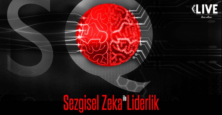 Sezgisel zeka (1)